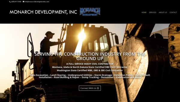 BASIC WEBSITE