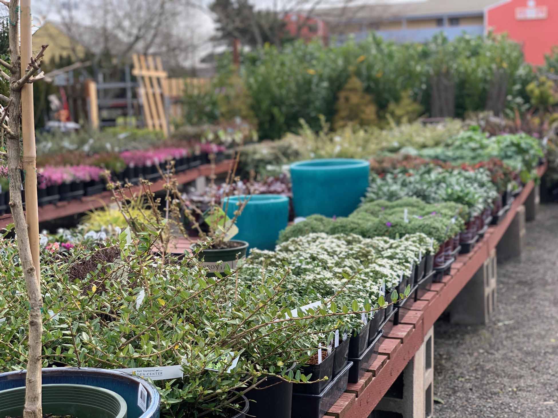 PTPlantsRedBarn